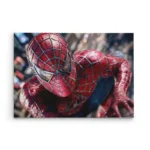 تابلو شاسی افقی طرح مرد عنکبوتی (Spider-Man)