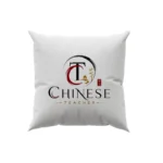 کوسن طرح  استاد زبان چینی
