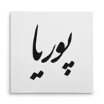 تابلو شاسی مربعی طرح پوریا