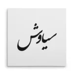 تابلو شاسی مربعی طرح سیاوش