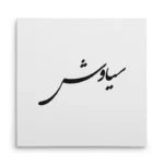 تابلو شاسی مربعی طرح سیاوش
