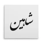 تابلو شاسی مربعی طرح شاهین