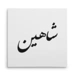 تابلو شاسی مربعی طرح شاهین