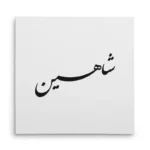 تابلو شاسی مربعی طرح شاهین