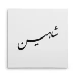 تابلو شاسی مربعی طرح شاهین