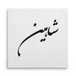 تابلو شاسی مربعی طرح شاهین