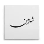 تابلو شاسی مربعی طرح شاهین