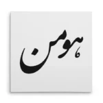 تابلو شاسی مربعی طرح هومن