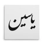 تابلو شاسی مربعی طرح یاسین