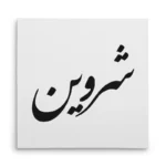 تابلو شاسی مربعی طرح شروین