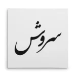 تابلو شاسی مربعی طرح سروش