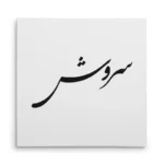تابلو شاسی مربعی طرح سروش