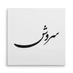 تابلو شاسی مربعی طرح سروش