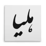 تابلو شاسی مربعی طرح هلیا