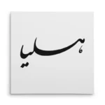 تابلو شاسی مربعی طرح هلیا