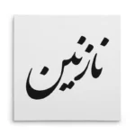 تابلو شاسی مربعی طرح نازنین