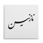 تابلو شاسی مربعی طرح نازنین