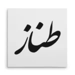 تابلو شاسی مربعی طرح طناز