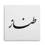 تابلو شاسی مربعی طرح طناز