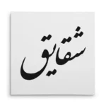تابلو شاسی مربعی طرح شقایق