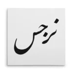 تابلو شاسی مربعی طرح نرجس