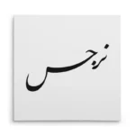 تابلو شاسی مربعی طرح نرجس