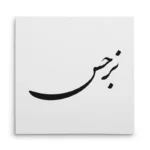 تابلو شاسی مربعی طرح نرجس