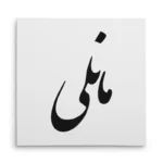 تابلو شاسی مربعی طرح مانلی