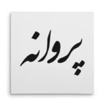 تابلو شاسی مربعی طرح پروانه