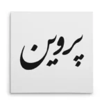 تابلو شاسی مربعی طرح پروین