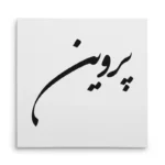 تابلو شاسی مربعی طرح پروین