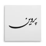 تابلو شاسی مربعی طرح پروین