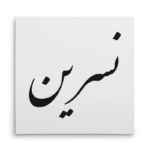 تابلو شاسی مربعی طرح نسرین