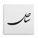 تابلو شاسی مربعی طرح ساحل