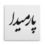تابلو شاسی مربعی طرح پارمیدا