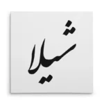 تابلو شاسی مربعی طرح شیلا