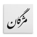 تابلو شاسی مربعی طرح مژگان
