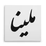 تابلو شاسی مربعی طرح ملینا