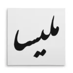 تابلو شاسی مربعی طرح ملیسا