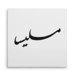 تابلو شاسی مربعی طرح ملیسا